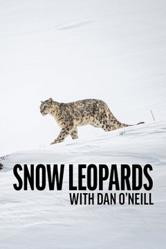 Snow Leopards with Dan O'Neill. (2025)