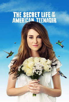 The Secret Life of the American Teenager (2008&#8209;2013)