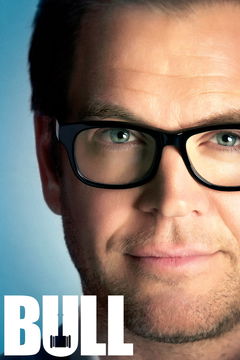 Bull (2016&#8209;2022)