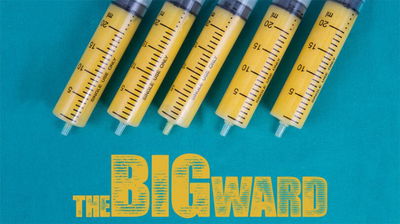 The Big Ward