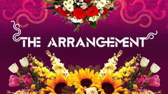 The Arrangement (2010)