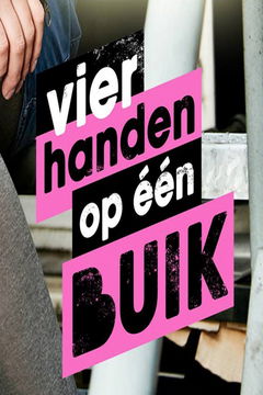 Vier Handen op Eén Buik (2012&#8209;&nbsp;)