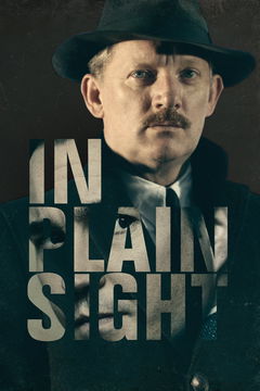In Plain Sight (2016)