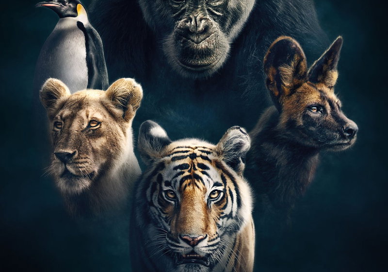 Beste Familieseries 2018 (series in het genre familie)
