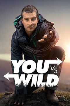 You vs. Wild (2019)