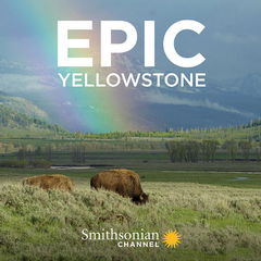Epic Yellowstone (2019)
