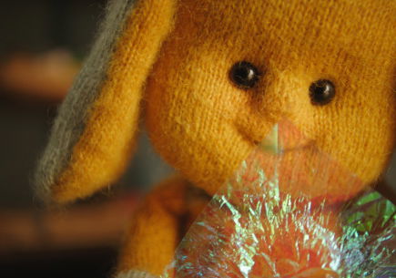 Beste Familieseries 2019 op NPO Start &amp; Plus (maart 2026)