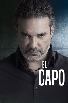 El capo (2009&#8209;2014)
