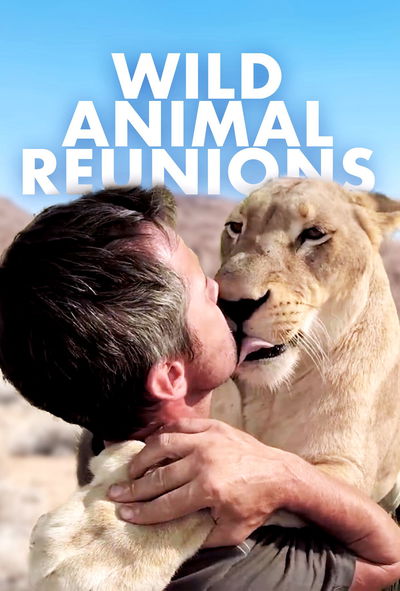 Nature: Animal Reunions