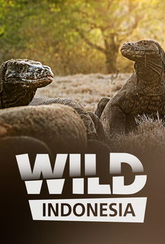 Wild Indonesia (1999&#8209;&nbsp;)