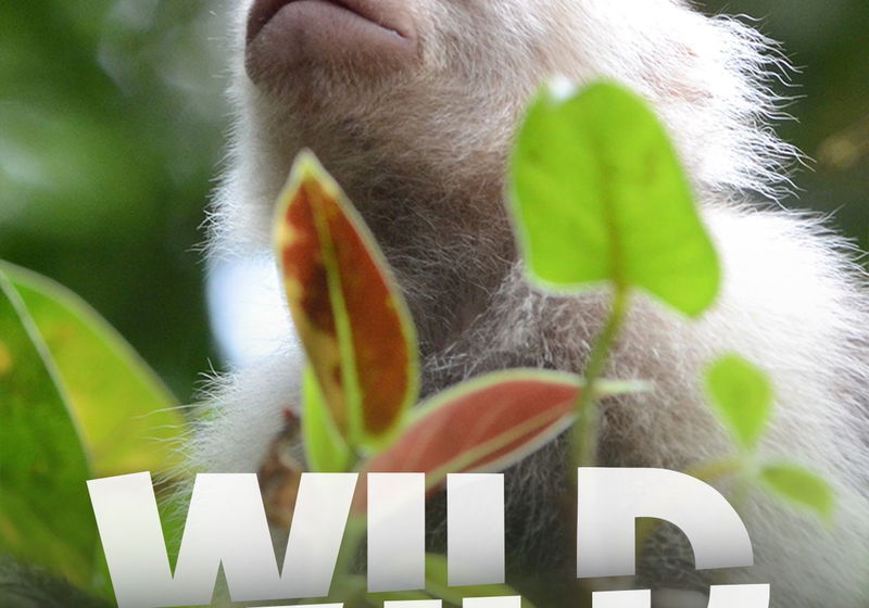 Beste Documentaireseries 2015 (series in het genre documentaire)