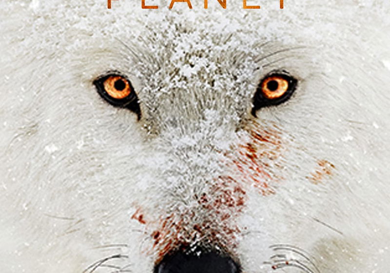 Beste Miniseries 2019 op Disney+ (september 2025)