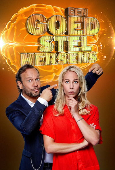 Een Goed Stel Hersens