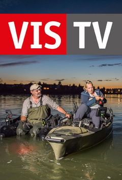 Vis TV (2020)