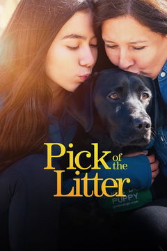 Pick of the Litter (2019&#8209;2020)