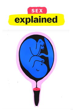 Sex, Explained (2020)