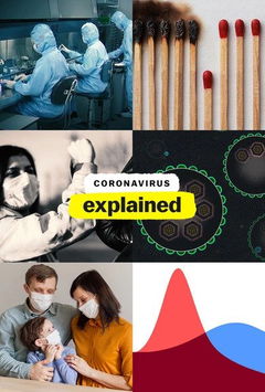 Coronavirus, Explained (2020)