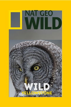 Wild Yellowstone (2015)