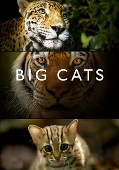 Big Cats (2018)