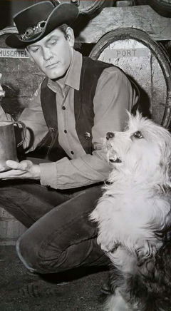 Hotel de Paree (1959‑1960)