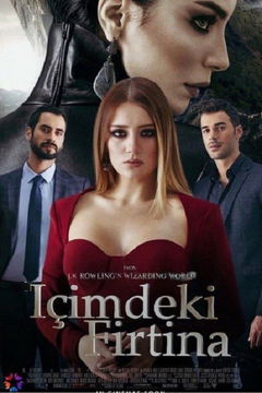 Içimdeki Firtina (2017)