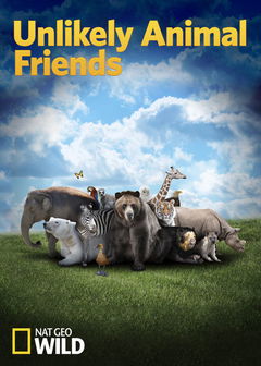 Unlikely Animal Friends (2012&#8209;&nbsp;)
