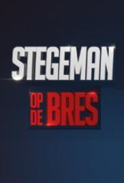 Stegeman op de Bres (2016&#8209;&nbsp;)