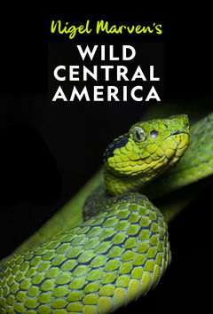 Nigel Marven's Wild Central America (2020)