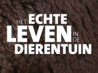 Het echte leven in de dierentuin