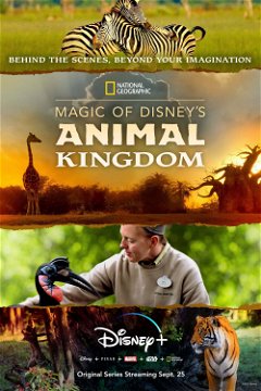 Magic of Disney's Animal Kingdom (2020&#8209;&nbsp;)