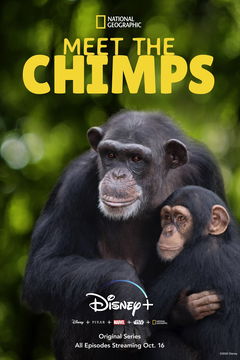 Meet the Chimps (2020)