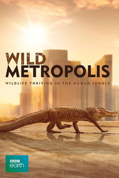 Cities: Nature's New Wild (2018&#8209;2019)