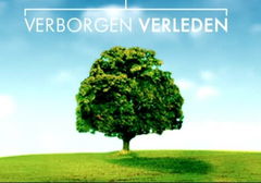 Verborgen verleden (2010&#8209;&nbsp;)