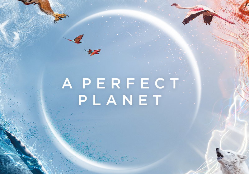 Beste Familieseries 2021 (series in het genre familie)