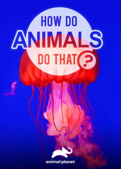 How Do Animals Do That? (2019‑ )