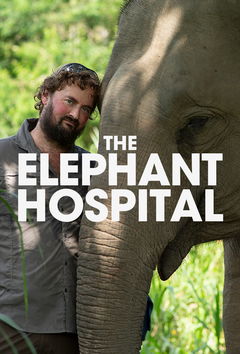 Elephant Hospital (2020)