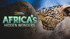 Africa's Hidden Wonders (2020)