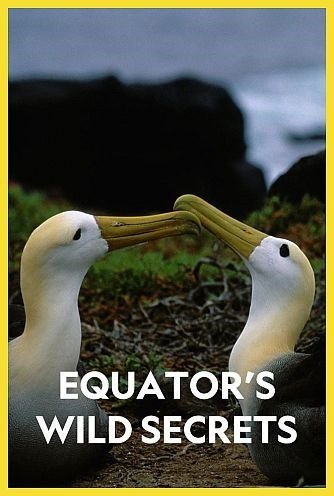 Equator's Wild Secrets