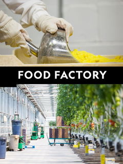 Food Factory (2012&#8209;2016)