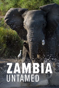 Zambia Untamed (2017)