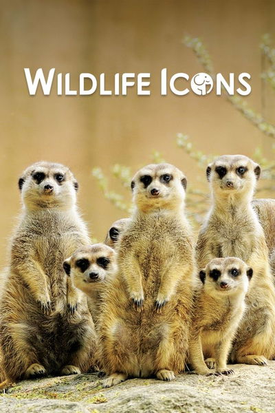 Wildlife Icons