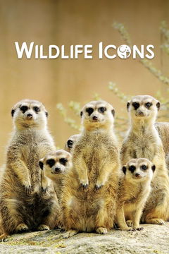 Wildlife Icons (2015&#8209;&nbsp;)