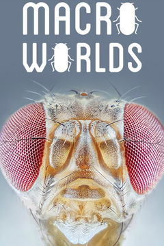 Macro Worlds (2017&#8209;&nbsp;)