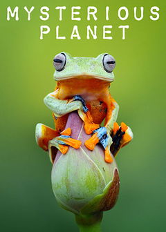 Mysterious Planet (2020)