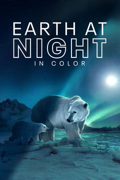 Earth at Night in Color (2020&#8209;2021)