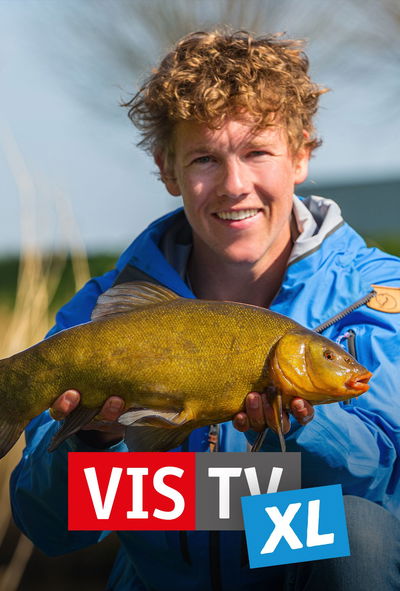Vis TV XL