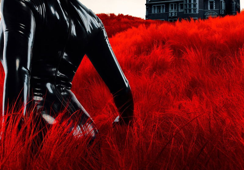 Beste Horrorseries 2021 op Disney+ (november 2025)