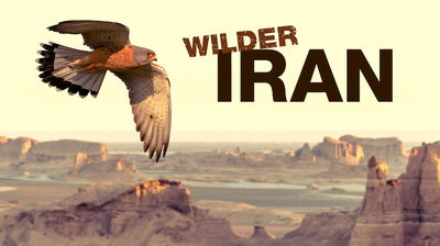 Wilder Iran