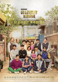 Reply 1988 (2015‑2016)