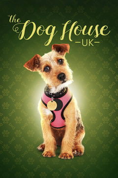 The Dog House (2019&#8209;&nbsp;)
